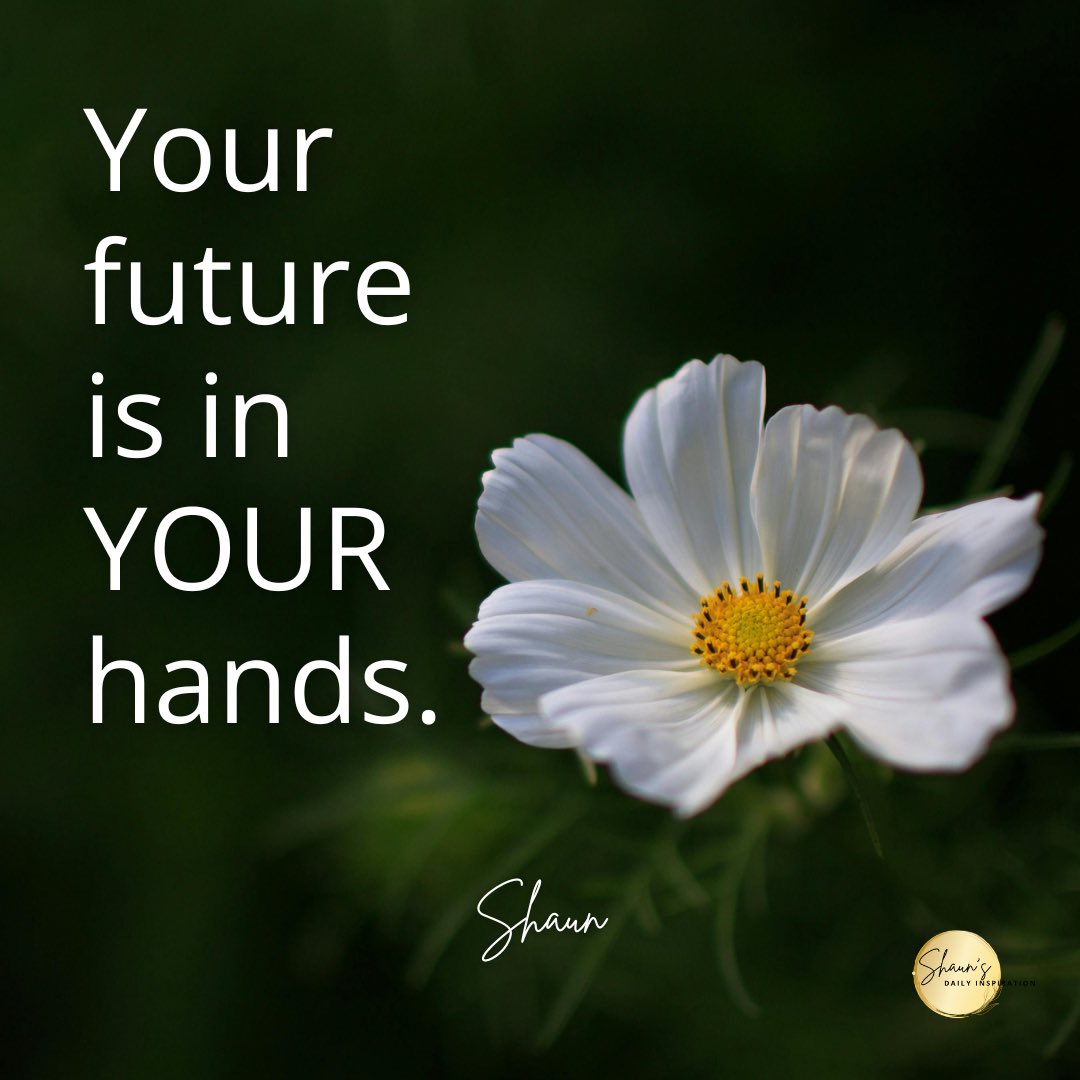 SDInspirations's tweet photo. Itโs you who decides where your life goes and how it flows. You hold your future in your hands.โฅ๏ธ
โThe future starts today, not tomorrow.โ โPope John Paul II
#ShaunsDailyInspiration #quoteoftheday #thefuture #TheFutureIsNow #empowermentquotes https://t.co/WtQU59xOJO