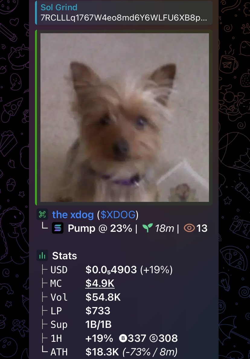 Sol_grind01's tweet photo. $XDOG hit 33x when I took a short break 🚀💹 
You see proof of early entry cause I post calls late here on x and you can only make decent profits and not massive printing like my tg vip members

Ca>
7RCLLLq1767W4eo8md6Y6WLFU6XB8pdQdN5q5cqerNea https://t.co/4xT7dX8eP8