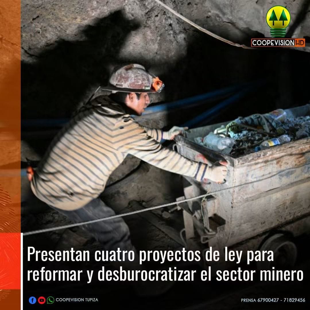 CueCue65's tweet photo. Diputado Edgar Zegarra presenta paquete de cuatro proyectos de ley para reformar y desburocratizar el sector minero en Bolivia
#Paisano #Tupiza https://t.co/BaiHHE8DxM