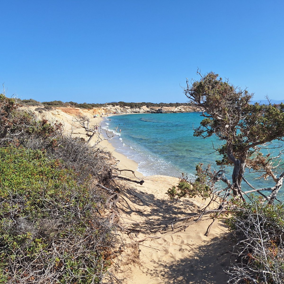 noahmartinv2i2e's tweet photo. How to reach Naxos

Take a ferry from many islands to Naxos Port, or fly from Athens to Naxos Airport. Fall in love with its sea, white-sand beaches, sunsets, iconic Portara and unique atmosphere. Book now. https://t.co/JQIkGABtMc
