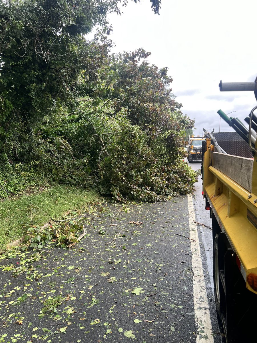 nysdotli's tweet photo. Before and after the @NYSDOT removed a downed tree from the shoulder of the LIE North Service Road near Bagatelle Road. In less than 30 minutes, everything was cleared. https://t.co/Ac1SsYCaqH