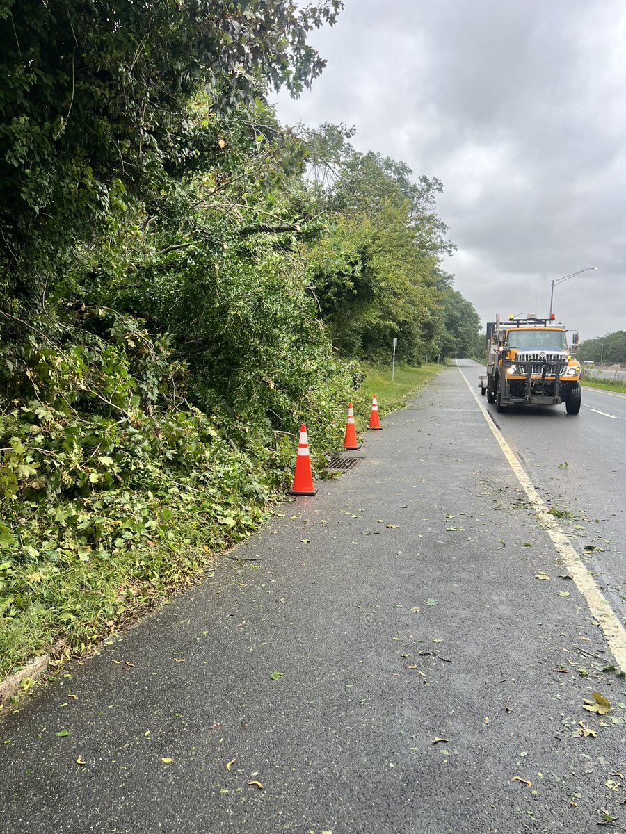 nysdotli's tweet photo. Before and after the @NYSDOT removed a downed tree from the shoulder of the LIE North Service Road near Bagatelle Road. In less than 30 minutes, everything was cleared. https://t.co/Ac1SsYCaqH