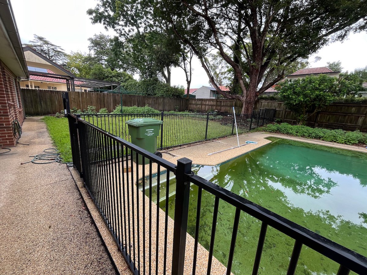 mypoolpainter's tweet photo. Sydney based, Text us @ 0438 553 000  Rain was not helpful but we still managed to remove lawn, new drainage installed, yard levelled,new lawn laid, 46 mtrs of new planter boxes, new & extended paving, frameless glass pool fence.  #landscaping #swimmingpools #paving #backyardmakeover