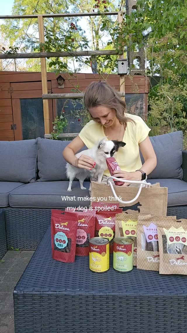 addisonscotty5i's tweet photo. Gebruikt” is zo’n groot woord. We kregen heel veel lekkers van Delcon Petfood, dus dit is reclame. Nina weet de komende tijd wat ze kan snoepen. De snacks bevatten minimaal 85% vlees en zijn gezond. Nina is alvast fan! https://t.co/qApbCLdKjo