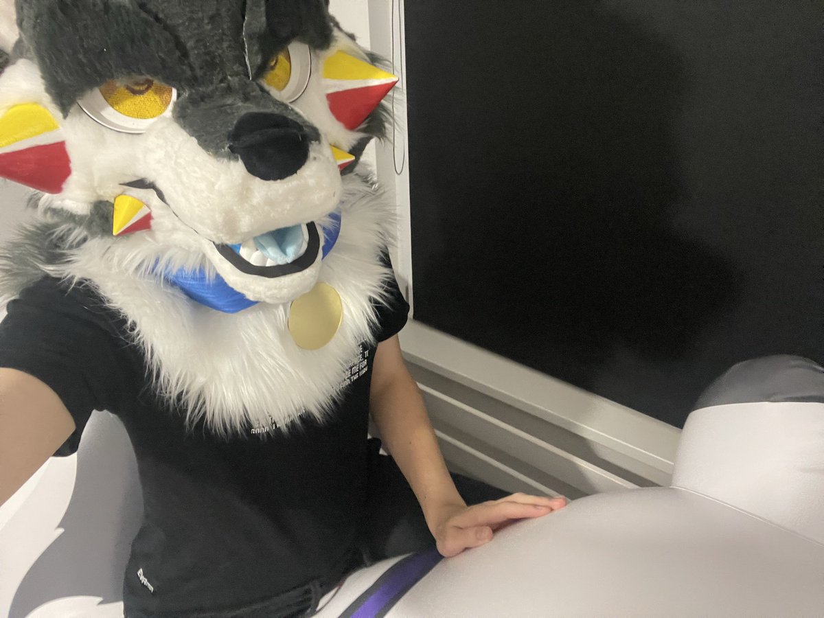 squeaky_akita's tweet photo. Arff arf, any volunteers to ride HanZhi with me?

#squeakysaturday #pooltoy https://t.co/i2lmQKP0Aa