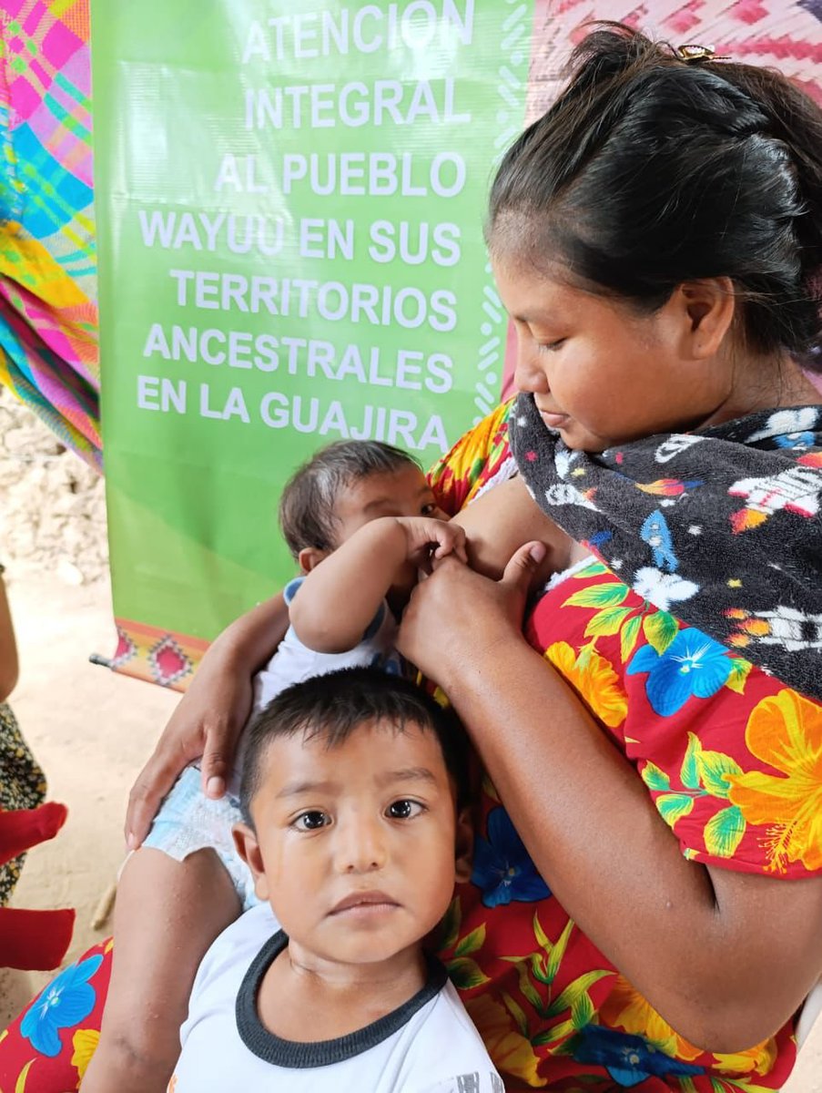 AstridCaceresC's tweet photo. La noticia es que hoy las cifras del DANE confirman que se logró la reducción de la tasa de desnutrición en 2025 mas baja de la última década. Colombia hoy cumple el compromiso de los Objetivos de Desarrollo Sostenible y lo supera al tener menos de 5 defunciones por cada 100 mil niños y niñas menores de cinco años, es decir superó y cumple de manera anticipada la meta CONPES y nacional de los ODS.  Es decir el camino recorrido por la vida es el correcto. 
Gratitud: 
✅️Con el campesinado que entregó alimentos del campo a la mesa y hoy pelean para conseguir continuar. 
✅️Con las comunidades Wayuu a través de sus asociaciones de autoridades tradicionales que se pusieron en la tarea de lograr cuidado y desarrollo y reportar a tiempo. Sobre ellas siempre cae la discriminación y la desconfianza. No todos son iguales y el compromiso de la gran mayoría de la comunidad wayuu ancestral con sus niños y niñas existe.
✅️Los hospitales públicos del país que ayudaron a recortar los tiempos de respuesta ante los hallazgos y asumieron los programas de recuperación nutricional casa a casa que antes hacía tercerizado el icbf con actores privados. Hoy varios de esos programas no les han dado continuidad y puede ser grave.
 ✅️Los equipos básicos de salud del Ministerio de Salud y las unidades móviles que se movieron en conjunto por el pais. 
✅️A quienes acompañaron el diseño y ejecución de modelos que entendieran que el desarrollo infantil depende y se hace de la mano con las comunidades.
 ✅️ a "Familias, Comunidades y Pueblos" del programa: Tejiendo Interculturalidad, que hicieron suya la soberanía alimentaria. Y que esperamos no se reduzca el presupuesto para que puedan desarrollar de nuevo su acción.
✅️ A todos y cada uno de los servidores públicos y sus equipos nutricionales que entienden que la soberanía alimentaria es la base de una seguridad alimentaria y defienden la alianza entre ambas.
✅️ a la alianza de #HambreCero con todos los que nos articulamos en el gobierno,  incluido @WFP_Colombia .
Las políticas de la vida se miden en resultados vitales, se destaca en Vichada y La guajira. 
Recomiendo seguir en Datos a @Purdinola con #RuedaElDato.