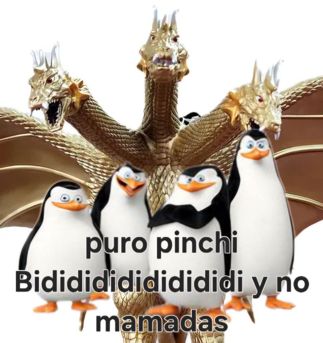 ReptCarmt's tweet photo. @COTM_2 Ojalá sea cierto https://t.co/eBbI5JbwpE