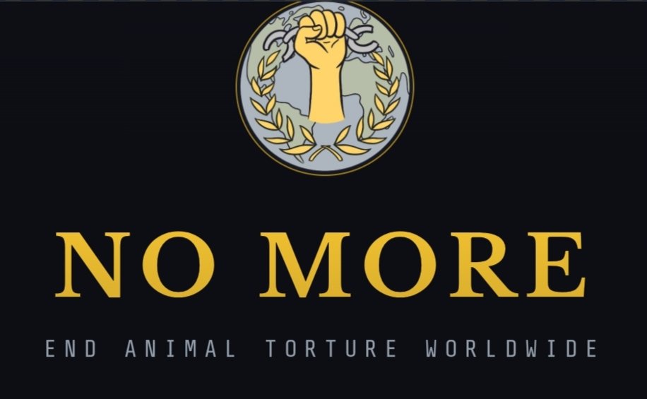 Project_NoMore's tweet photo. Project No More thanks everyone for their Support!❤️ 

The positive Feedback and ongoing Support is overwhelming in a positive way!❤️

We continue to fight against animal torture worldwide!

#ProjectNoMore
#SaveChinasCats https://t.co/s14V0fY6La