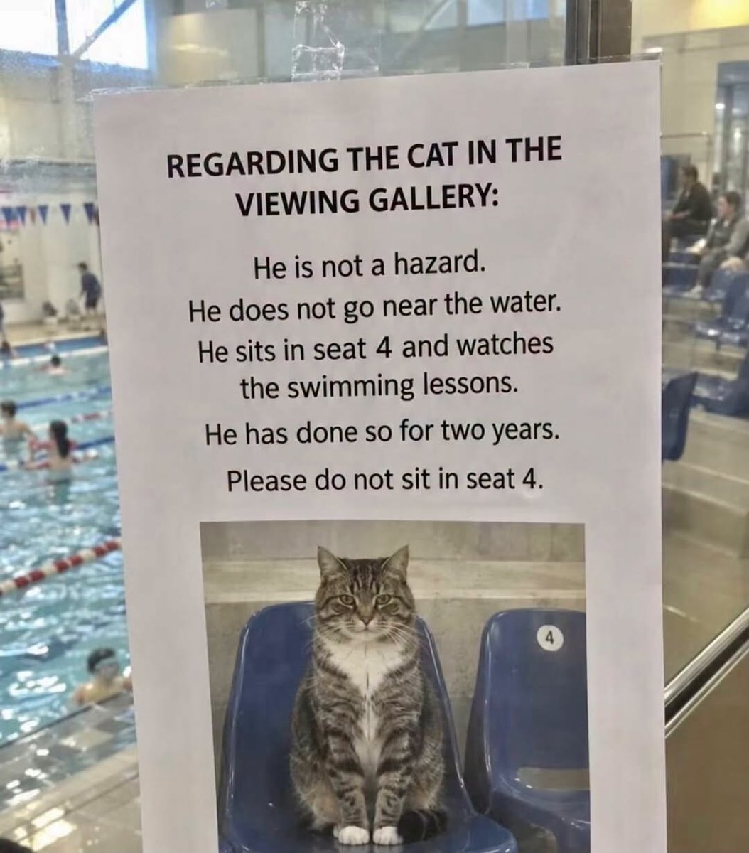 DaddyisBest's tweet photo. Cat: "Finally. Hoomans do something right..." https://t.co/sBXtLbofBF