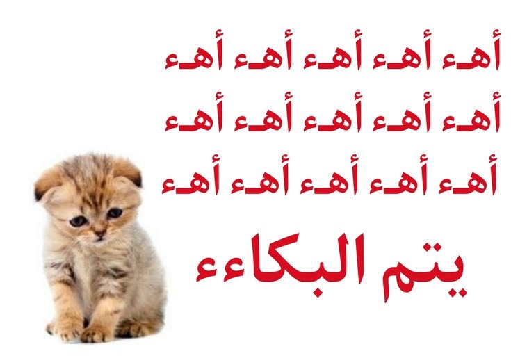LamarAkramecjm's tweet photo. https://t.co/JFwsGVOd8r