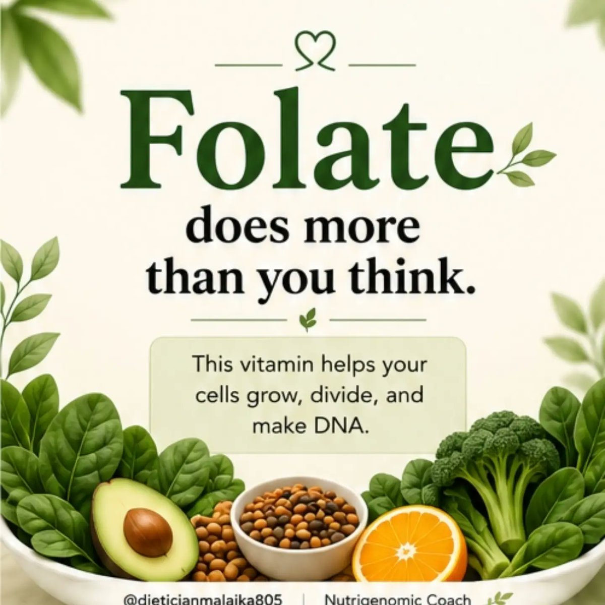 rileysmith464ye's tweet photo. Folate does more than you think! Vitamin B9 helps your body make and repair DNA, produce healthy red blood cells, and support new cell growth. It’s especially important before and during early pregnancy, as folic acid may reduce the risk of neural https://t.co/ef0snhTUIn