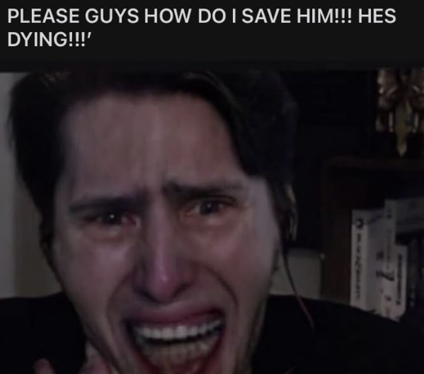 amoebac0wboy's tweet photo. felt an itch i couldnt scratch bc of the time of year and then realized im craving an unus annus upload FUCK https://t.co/SQYTNhogU6