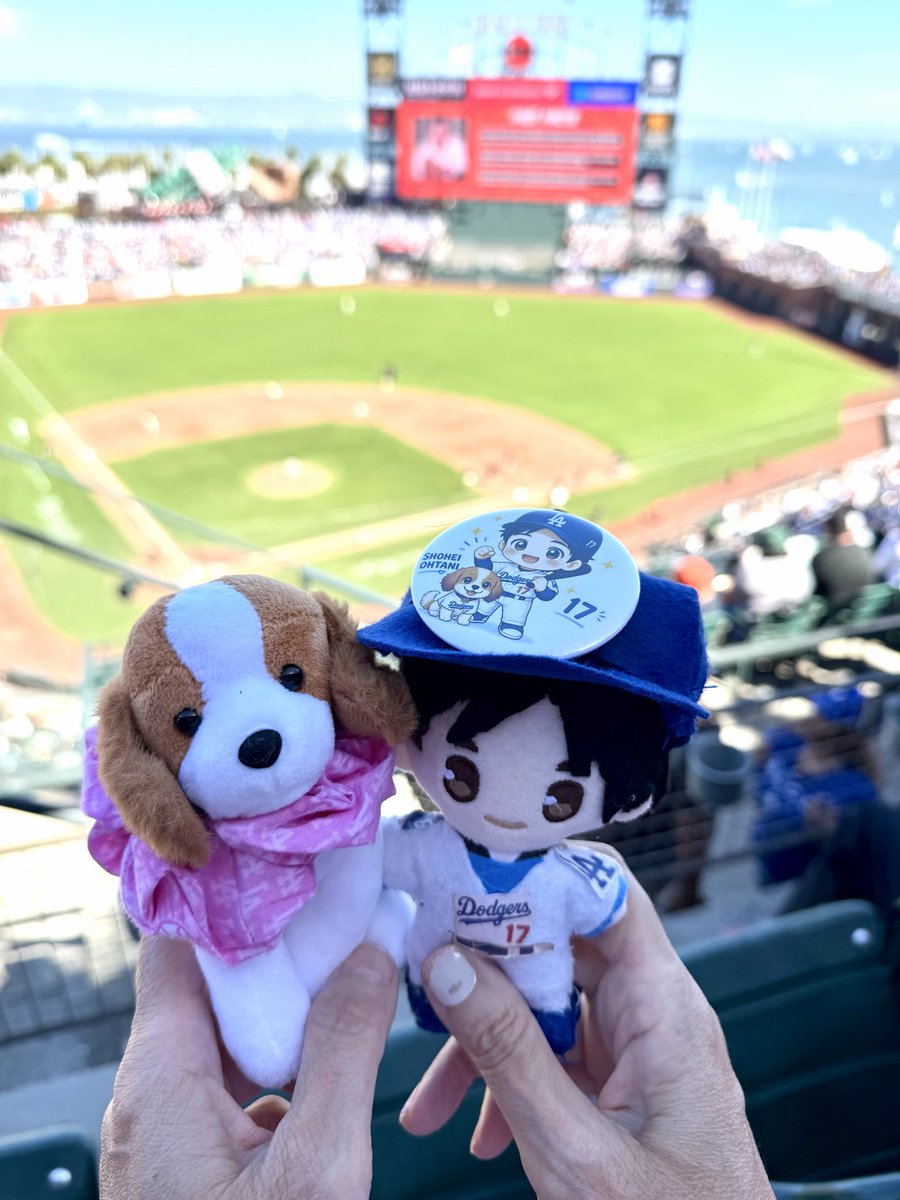 yonkoan13's tweet photo. 今日はこの席
昨日よりは前です。
青空と海と素晴らしい景色の中にいます
^_^
たくさんの観客がいます
GOドジャース📣📣📣
夢みたいです💕💕 https://t.co/5VT19tmh0B