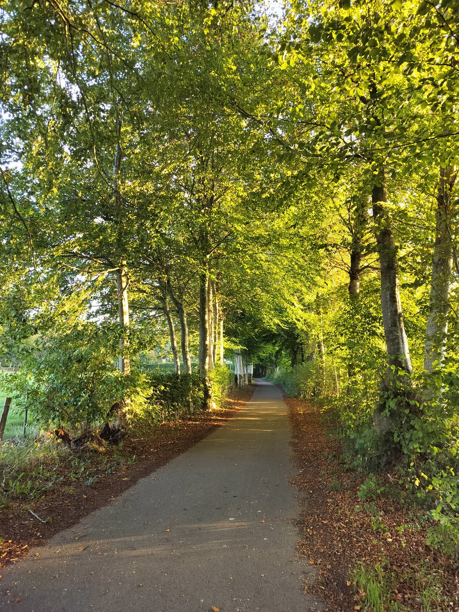 MillingtonSally's tweet photo. Morning 5km run
Lovely bright morning and a run along some of the trails in the village.
Happy Saturday 😃🏃♀️🇩🇪
#Monschau #running https://t.co/uvZOILFrue