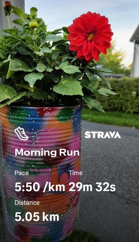 MillingtonSally's tweet photo. Morning 5km run
Lovely bright morning and a run along some of the trails in the village.
Happy Saturday 😃🏃♀️🇩🇪
#Monschau #running https://t.co/uvZOILFrue