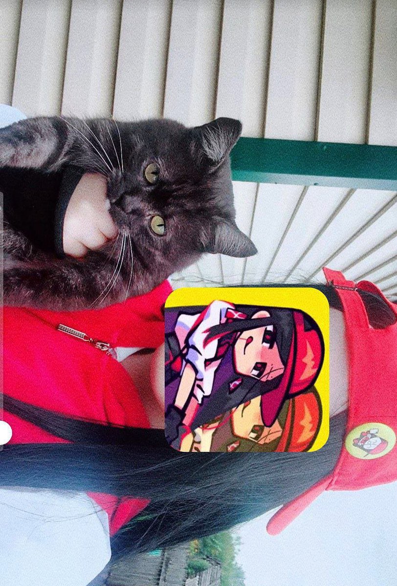 MainTwoTimeirl's tweet photo. Yi Xi loves cats <3 #YiXi https://t.co/OBCwnblrsR