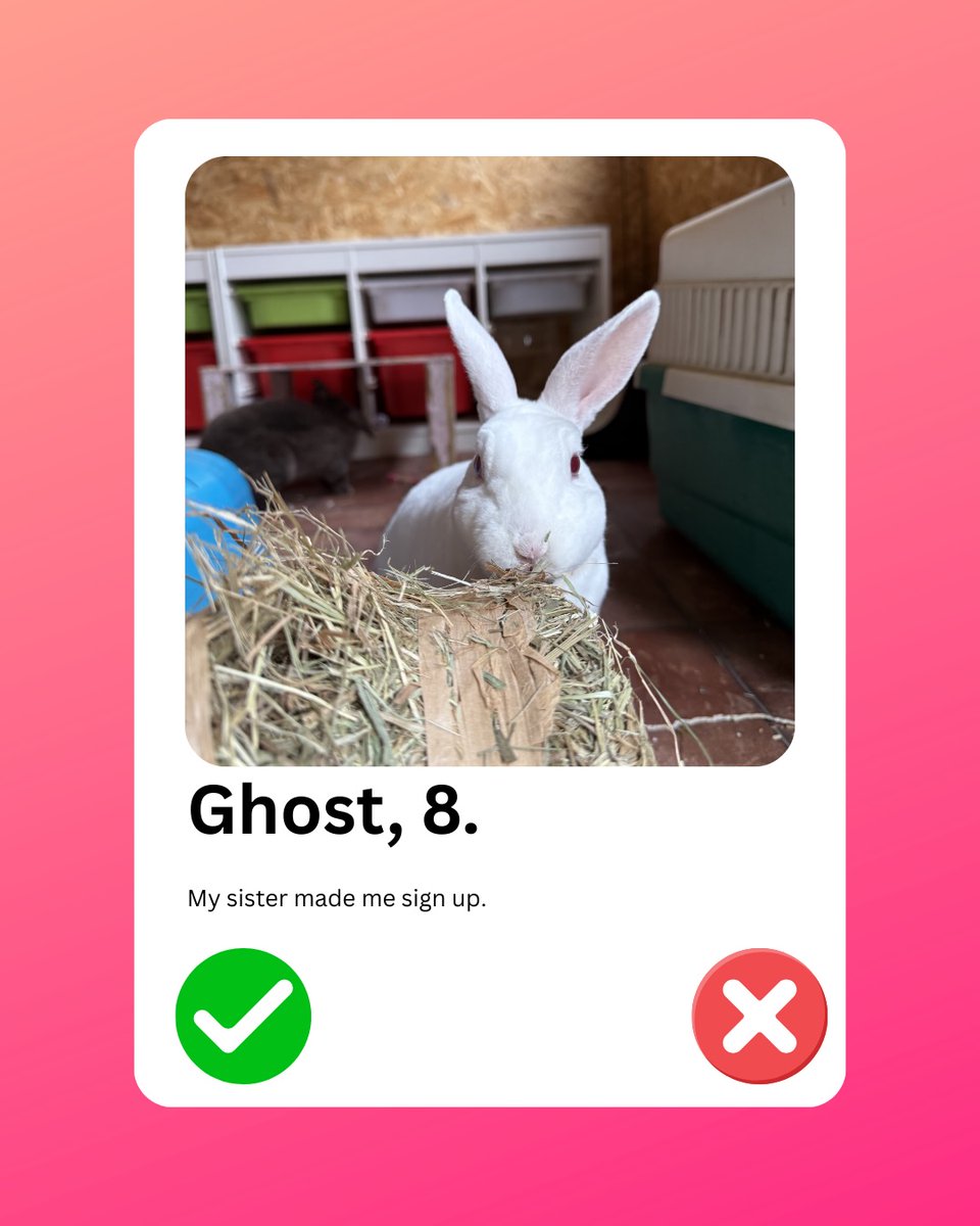 OlinPattie's tweet photo. Happy Valentine’s Day

I thought I’d create dating profiles for the animals for a bit of fun. What would your pet’s profile say? https://t.co/I2QC5VoyhK