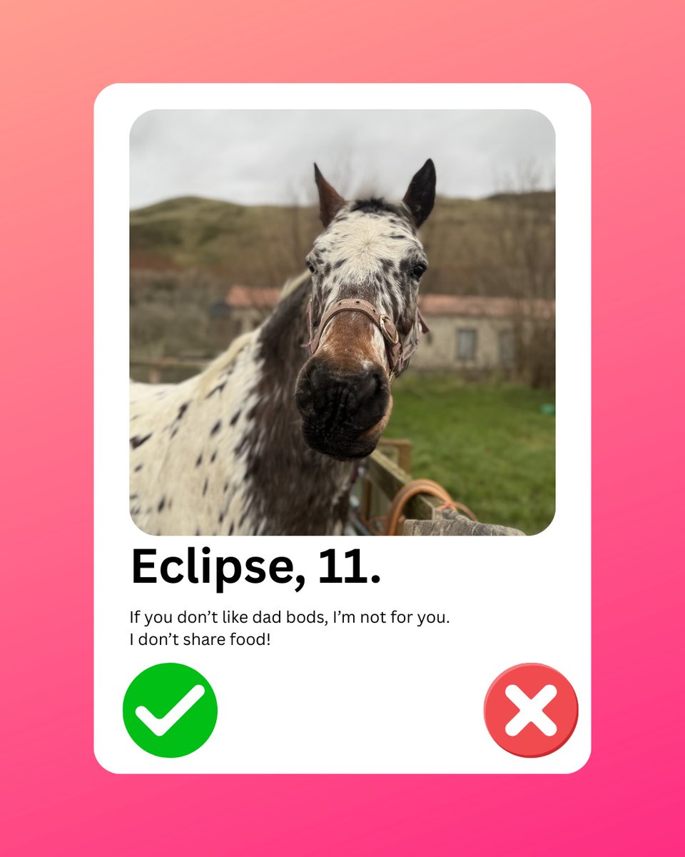 OlinPattie's tweet photo. Happy Valentine’s Day

I thought I’d create dating profiles for the animals for a bit of fun. What would your pet’s profile say? https://t.co/I2QC5VoyhK