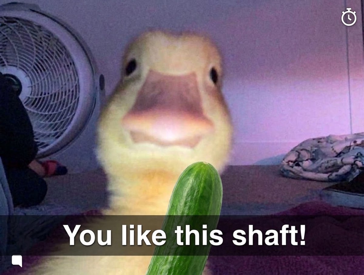harold_onsol's tweet photo. nice shaft https://t.co/kbjzfTozhV