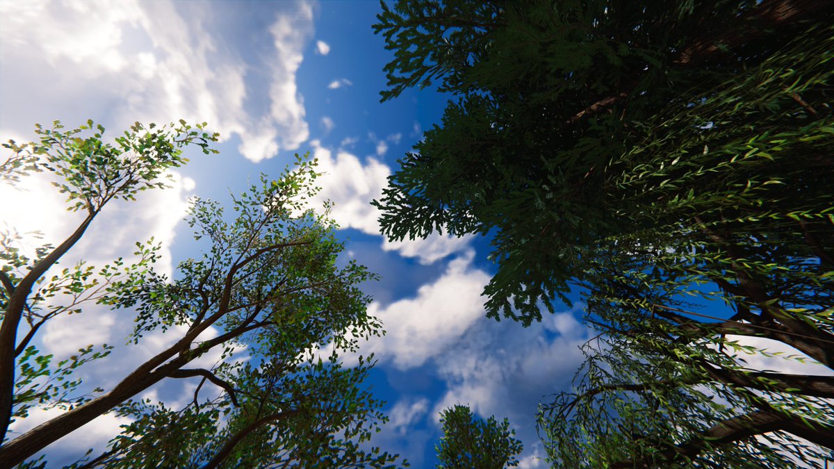 drgbreeze's tweet photo. Taking a moment to lay back in the grass and watch the clouds drift by.
~ Breezy
#OnceHuman #VirtualPhotography #MMO #OnceHumanCC https://t.co/Bmrpyu44Eo