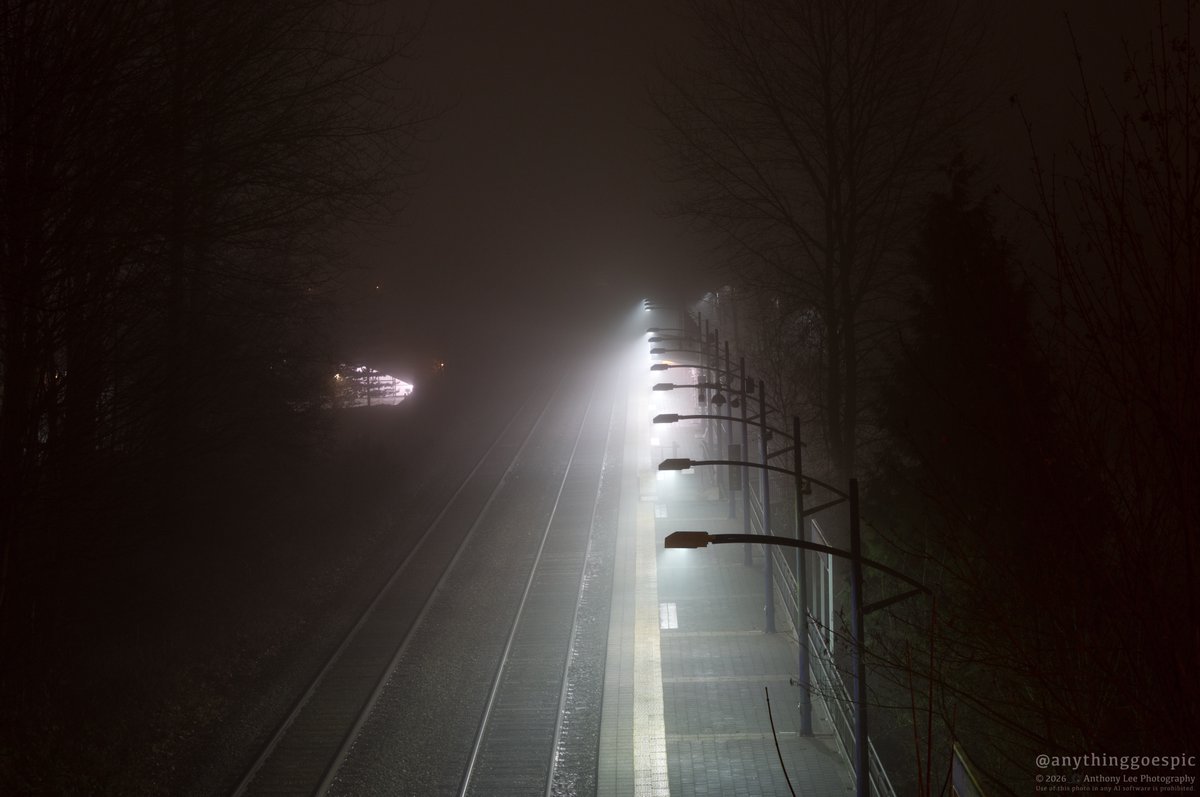 anythinggoespic's tweet photo. Photo of a transit train station at night.

📸 Sony A57 DSLR + Sony 50mm F1.8 lens 
FL: 50mm | ISO: 100 | F: 7.1 | EXP: 4 seconds (on tripod) #photography #nightlights https://t.co/eBY7FER0Yv
