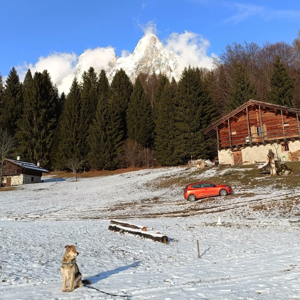MarkusBrabant's tweet photo. Hello, my old friend. I’ve missed you! ” — what Poldo must be thinking as he sees the snow. “What the hell is this? Get me home now! ” — what Ninja said loud and clear when we arrived. https://t.co/5y7I0D37OO