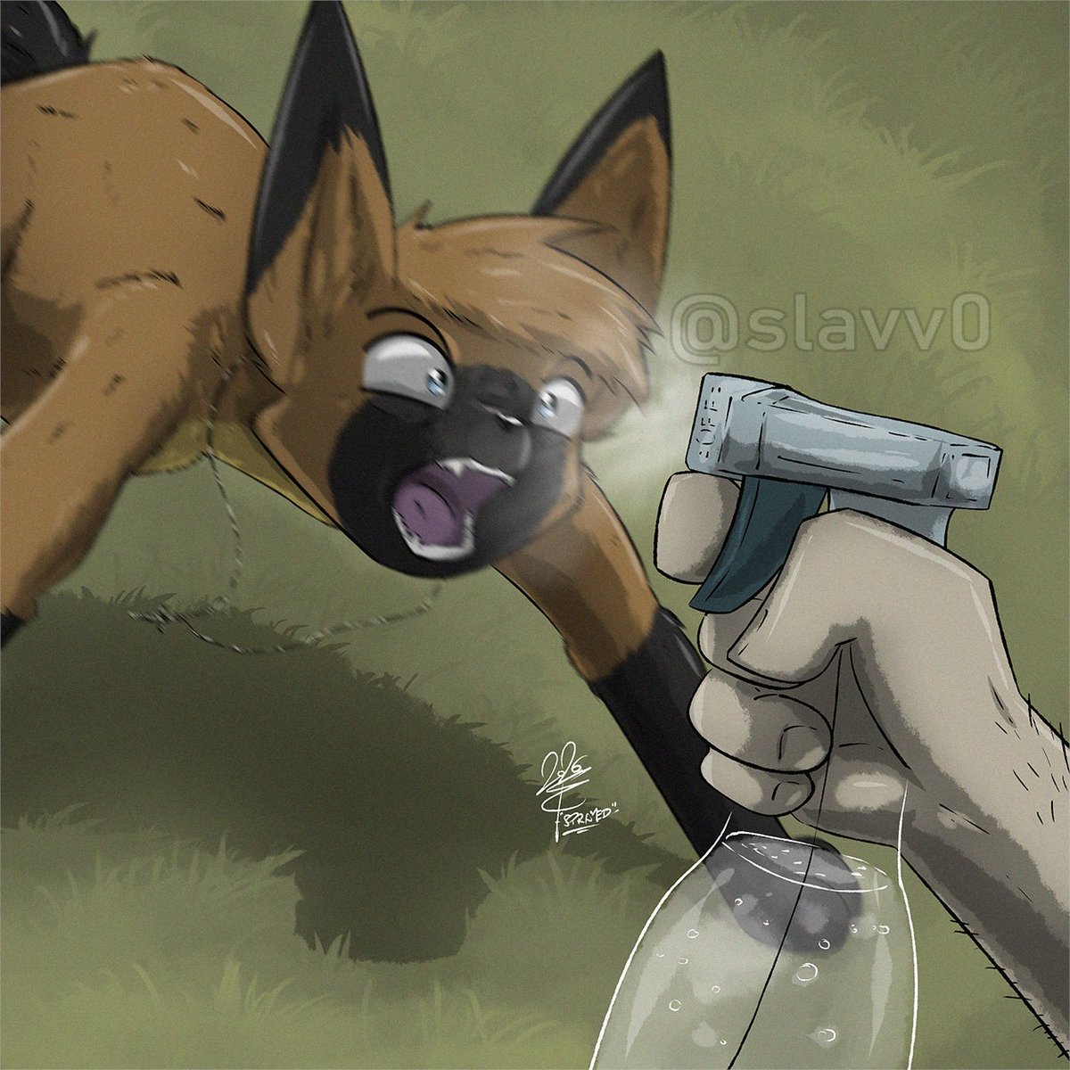 slavv0's tweet photo. Get sprayed, you crazy fox https://t.co/EJ1ZqDU318