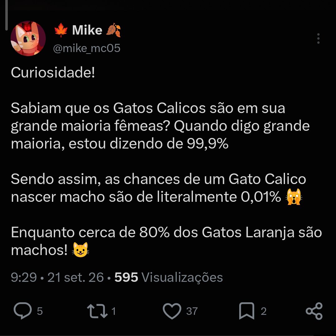 AcervoMik3's tweet photo. Logo depois de anunciar que estava trabalhando em um suposto novo personagem
Mike posta sobre gatos calicos, sobre serem em sua maioria fêmea 

Será que esperar uma gatinha caliaco como sua nova personagem? 
muitas perguntas e poucas respostas! mas não para aqui, segue o fio! https://t.co/BmJqwb4miM