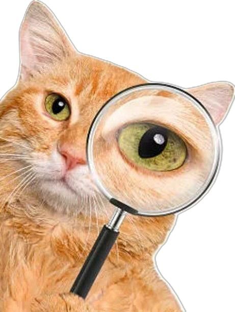 AcervoMik3's tweet photo. 🚨 | MOMENTO DETETIVE 

teorias sobre o novo personagem do Mike e o que suas dicas tão enigmáticas podem significar: A THREAD! https://t.co/NqUAEe4DHe