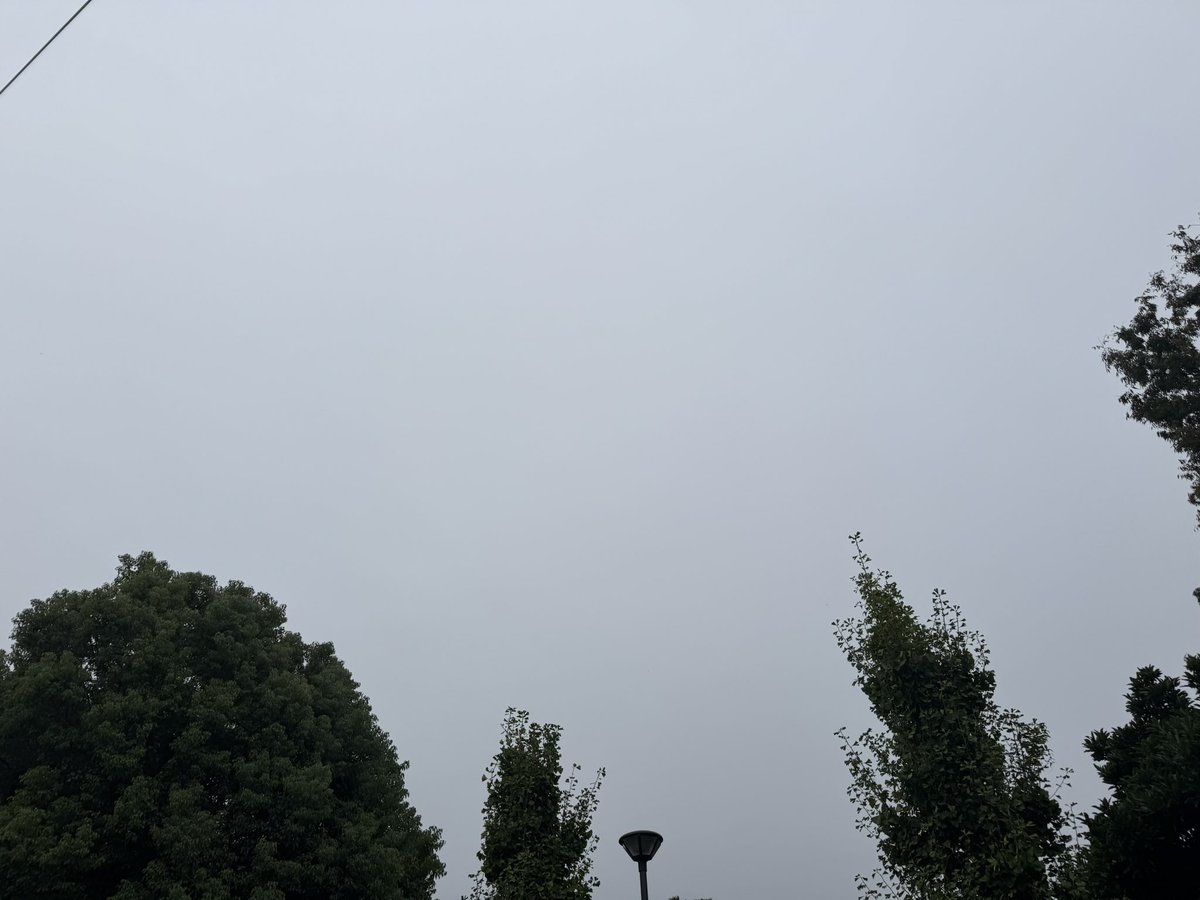 sunsunriko's tweet photo. 雨上がりの朝、曇天の空でしたがしっかり歩いてきました。なんか蚊がいっぱいいそうな雰囲気🤭　台風が来ませんように。
#朝活　#イマソラ　#空が好き https://t.co/S0XT1guLQ9