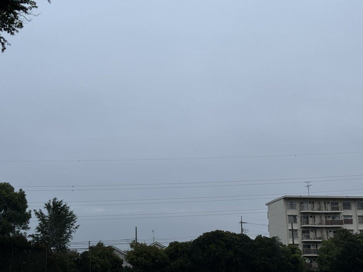 sunsunriko's tweet photo. 雨上がりの朝、曇天の空でしたがしっかり歩いてきました。なんか蚊がいっぱいいそうな雰囲気🤭　台風が来ませんように。
#朝活　#イマソラ　#空が好き https://t.co/S0XT1guLQ9