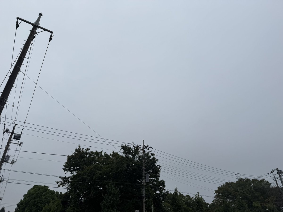 sunsunriko's tweet photo. 雨上がりの朝、曇天の空でしたがしっかり歩いてきました。なんか蚊がいっぱいいそうな雰囲気🤭　台風が来ませんように。
#朝活　#イマソラ　#空が好き https://t.co/S0XT1guLQ9