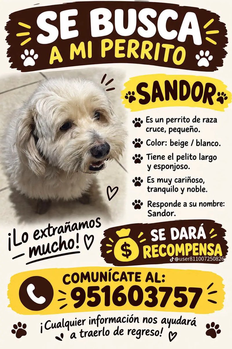 danegamez's tweet photo. Atención Pucallpa-Perú!
Se busca a Sandor. https://t.co/HYrJdXDOBC