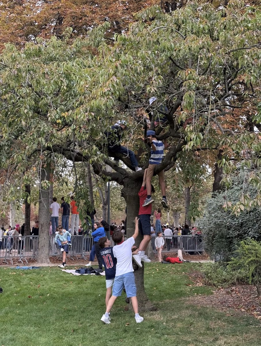 ChristopherHale's tweet photo. French children climbing trees to catch a glimpse of Pope Leo XIV. https://t.co/lXeVpi1Dqg