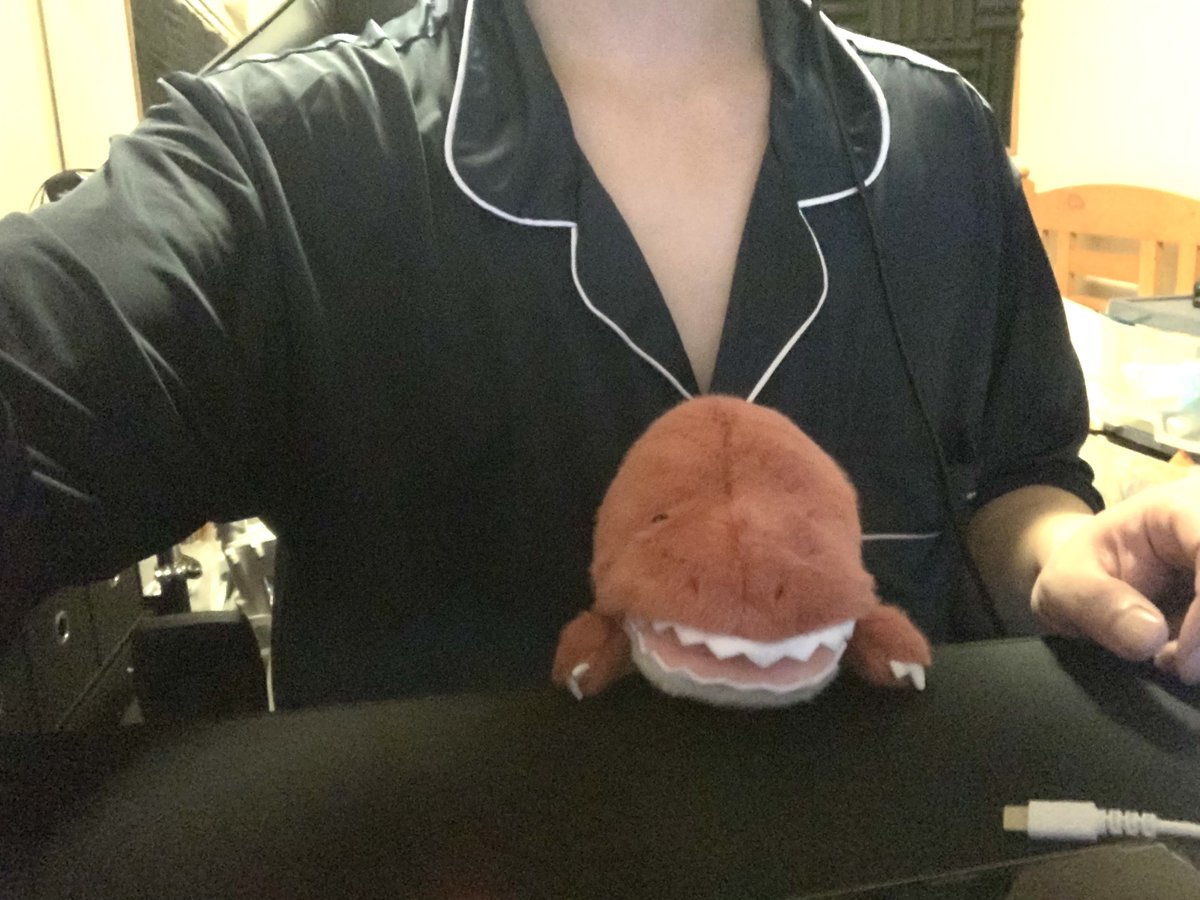 hqlhql's tweet photo. 猫背を支えてくれる
恐竜さん！🦖 https://t.co/birKrtzXtq