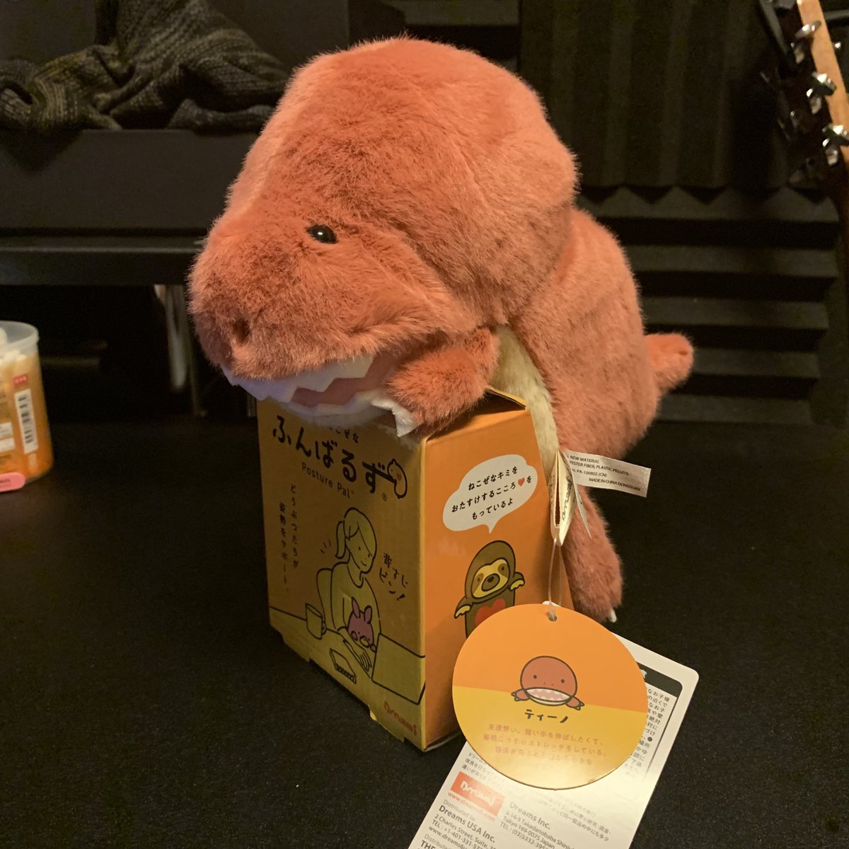 hqlhql's tweet photo. 猫背を支えてくれる
恐竜さん！🦖 https://t.co/birKrtzXtq