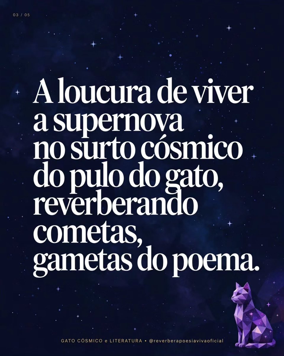ManualMolle's tweet photo. *THE COSMIC CAT’S LEAP — Dan Juan Nissan Cohen*

It isn’t a poem. It’s a leap. Dan Juan understood that writing isn’t about building sentences, but licking words until they hallucinate. He licks without fear of being happy—and of a happiness that https://t.co/A4fzsU2PFh