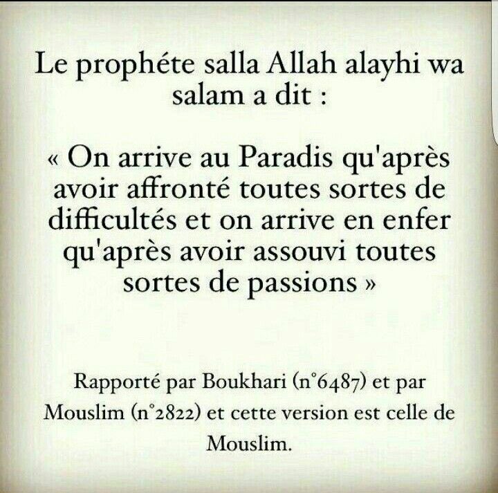 Ben_Baharadine's tweet photo. https://t.co/0vHm8zFUju