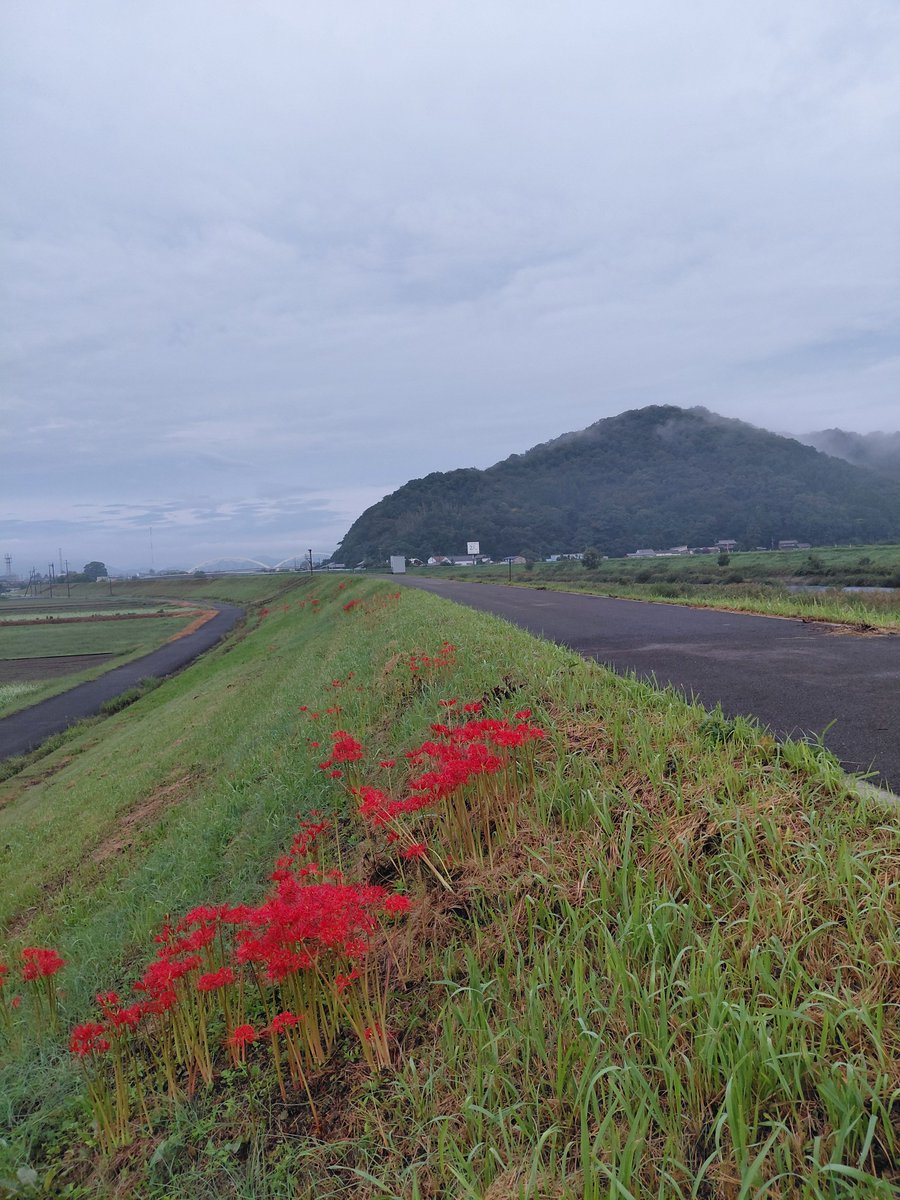 speckle_ot's tweet photo. 朝ラン10キロ1時間。
今日は、小学校の授業参観日です。 https://t.co/Zbhz2EAe3b