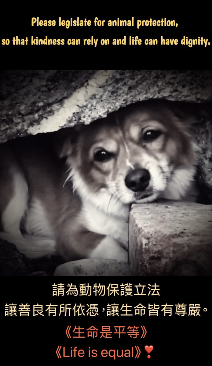 Jess82tjma's tweet photo. https://t.co/B6bG6ZAyjI