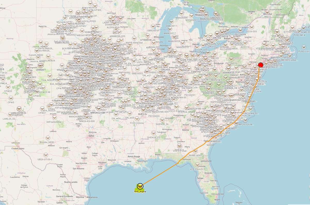 R_H_Ebright's tweet photo. @sofcloud46 RHE_Alpha, the Monarch that already covered 62% of the migration, is an outlier. Of the 1,452 Monarch tagged by #ProjectMonarch so far this season, RHE_Alpha travelled a greater distance, and reached a more southerly position, than any other. https://t.co/FZcoLC1zVZ