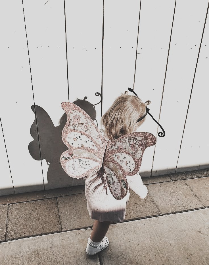 onIygenius's tweet photo. Minha hipótese inicial era que ela era apenas uma menina de 5 anos com uma fantasia. Meus dados experimentais (essa foto) provaram que ela é, de fato, a rainha das borboletas. https://t.co/G7OyooWZec