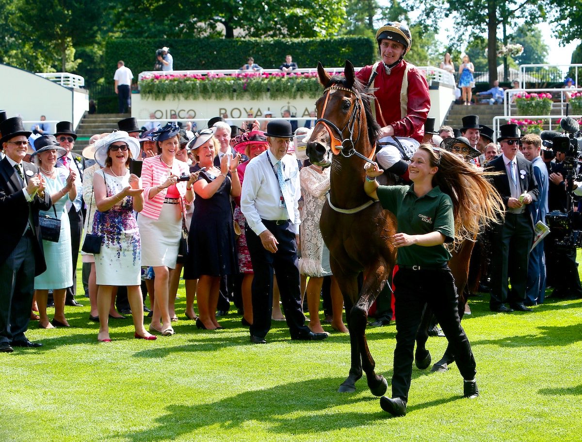 weatherbysltd's tweet photo. An updated pedigree for Orthodox who landed today’s Group 1 Tattersalls Middle Park Stakes @NewmarketRace under @Rossaryan15 .

The son of Havana Grey was bred by @WhitsburyManor and purchased by Clive Cox from Grangeclare Stud (@JoeyE_Logan) @Goffs1866 Orby.

His dam Heartwarming was twice Listed placed - and is a full-sister to Group-placed Unbreak My Heart and a half-sister to Group 2 Queen Mary Stakes winner Heartache (pic).