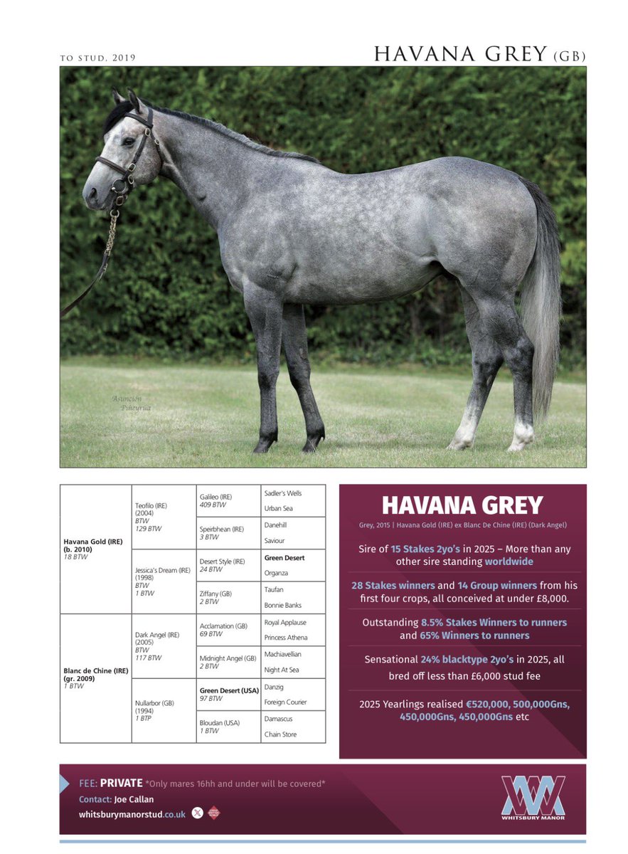weatherbysltd's tweet photo. An updated pedigree for Orthodox who landed today’s Group 1 Tattersalls Middle Park Stakes @NewmarketRace under @Rossaryan15 .

The son of Havana Grey was bred by @WhitsburyManor and purchased by Clive Cox from Grangeclare Stud (@JoeyE_Logan) @Goffs1866 Orby.

His dam Heartwarming was twice Listed placed - and is a full-sister to Group-placed Unbreak My Heart and a half-sister to Group 2 Queen Mary Stakes winner Heartache (pic).