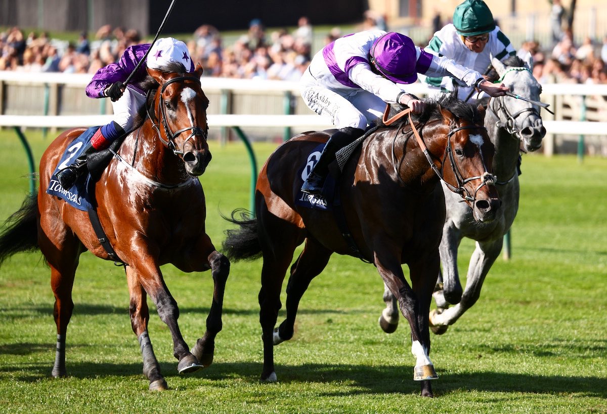 weatherbysltd's tweet photo. An updated pedigree for Orthodox who landed today’s Group 1 Tattersalls Middle Park Stakes @NewmarketRace under @Rossaryan15 .

The son of Havana Grey was bred by @WhitsburyManor and purchased by Clive Cox from Grangeclare Stud (@JoeyE_Logan) @Goffs1866 Orby.

His dam Heartwarming was twice Listed placed - and is a full-sister to Group-placed Unbreak My Heart and a half-sister to Group 2 Queen Mary Stakes winner Heartache (pic).