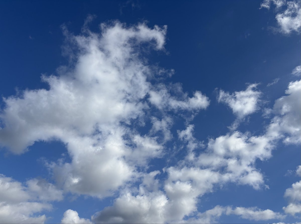 respectharuchan's tweet photo. テーマ　「見上げる」短歌

来年も
おんなじ空を
見上げたい
あなたの音色
響き渡るよ

#短歌記念日#見上げるをテーマに短歌を作ろう 
#春畑道哉 #TUBE https://t.co/Gx3VDySJBm