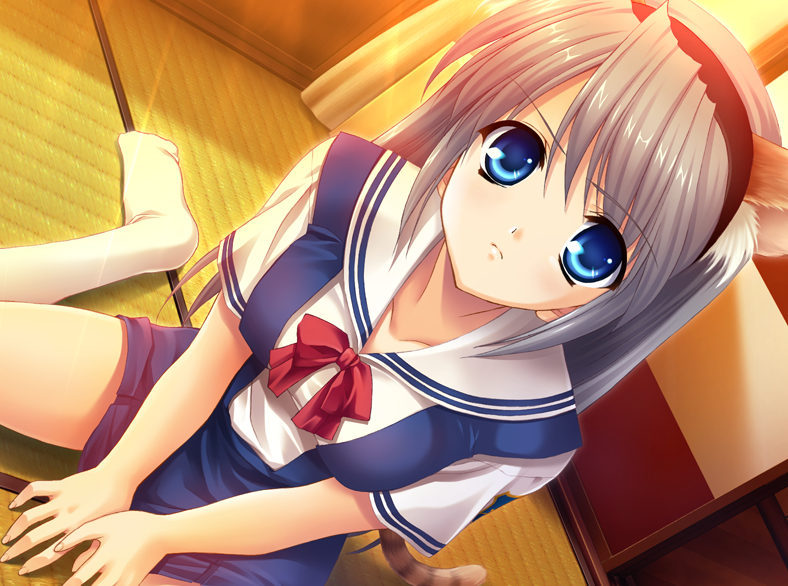 tomoyolessthan3's tweet photo. moe https://t.co/o1v3Nw04bz