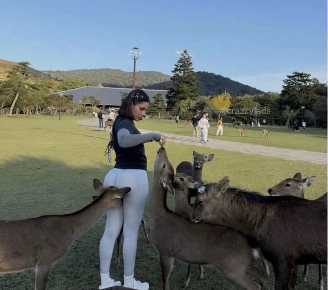 cryptorunnerup's tweet photo. When I get reincarnated, you won't know it's me... but there will be signs. https://t.co/cOaNMcdDZV