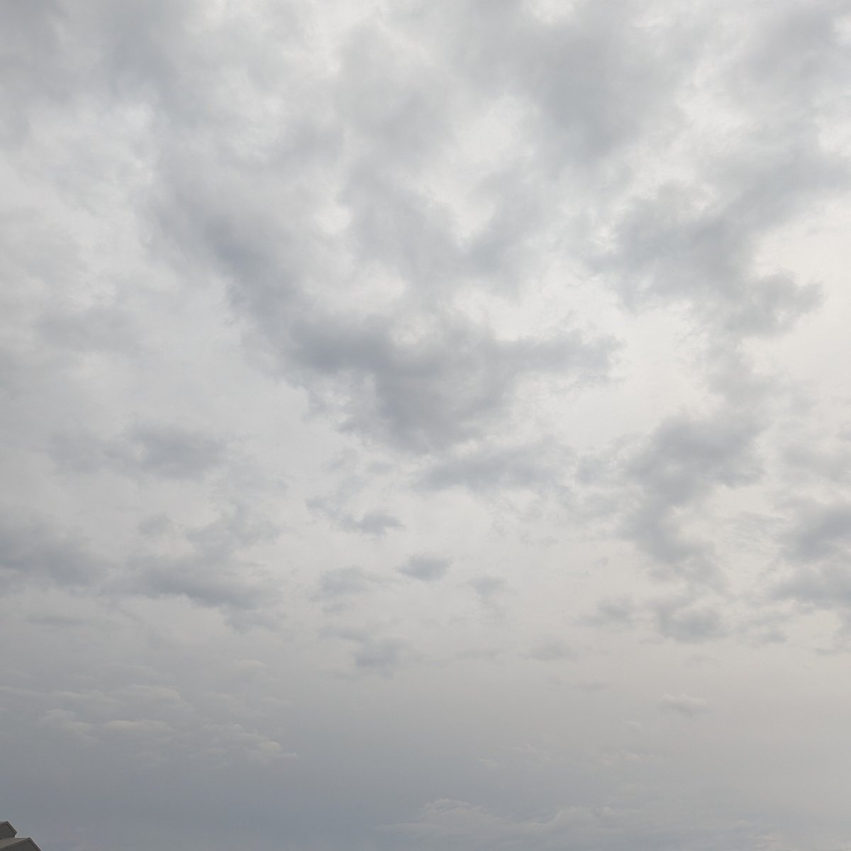 whi0723's tweet photo. お早うございます🙂↕️
令和8年9月27日(日) 午前6時44分 大阪北部は曇り後雨☁/☔、気温20.8℃
本日は公休
今朝の一枚
『ブルー/ジョニ・ミッチェル』(1971)
皆様、良い日曜日をお過ごし下さい👍
#イマソラ
#Joni_Mitchell https://t.co/J2Y17Dpkdo