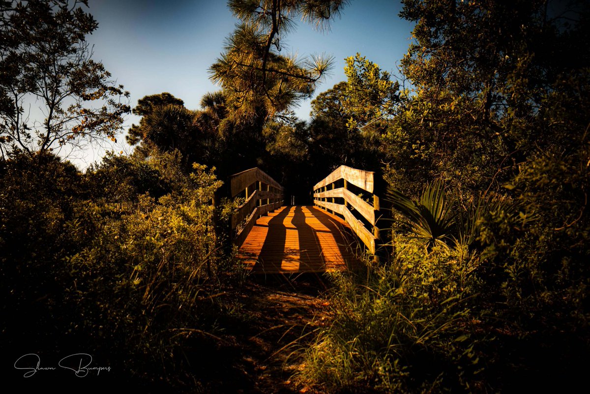 solarcoast's tweet photo. Ends in a parking lot. | #NaturePhotography #LandscapePhotography #GoldenHourLight #FloridaNature #ShawnBumpersPhotography https://t.co/VWaw0euLr8